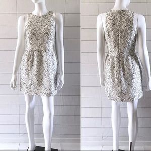 Cynthia Steffe White Black Lace Fit Flare Dress
